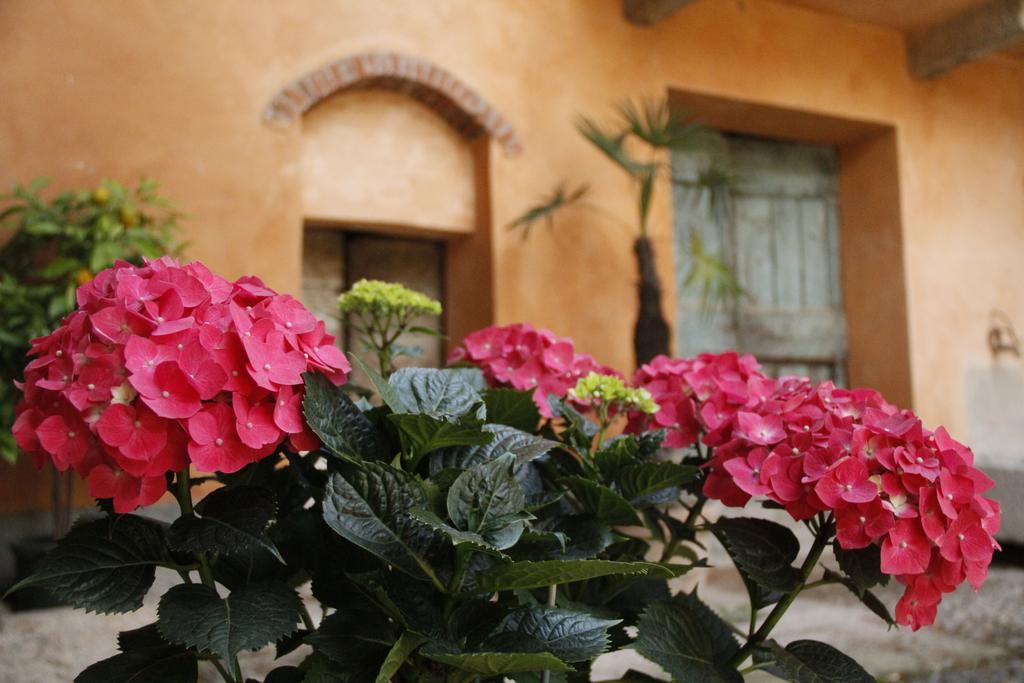 Borgo Archinto Apartment Robecco sul Naviglio Екстериор снимка